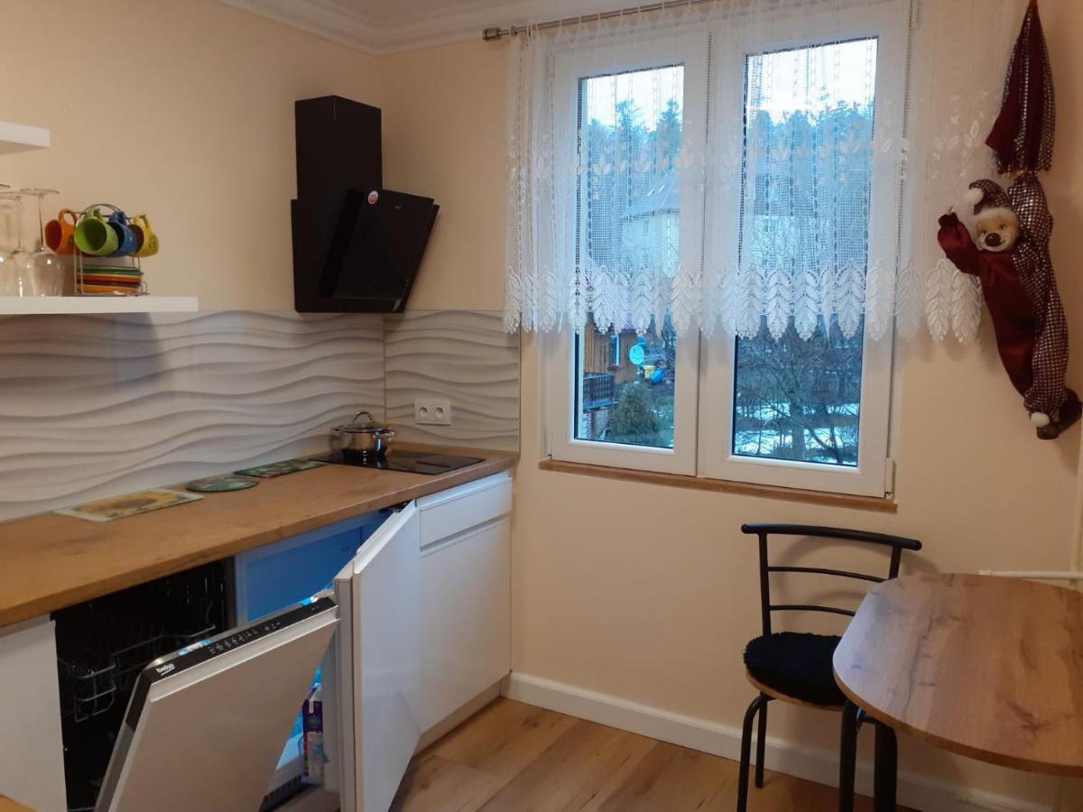 Appartement Apartament Centrum 9 à Szklarska Poreba Extérieur photo